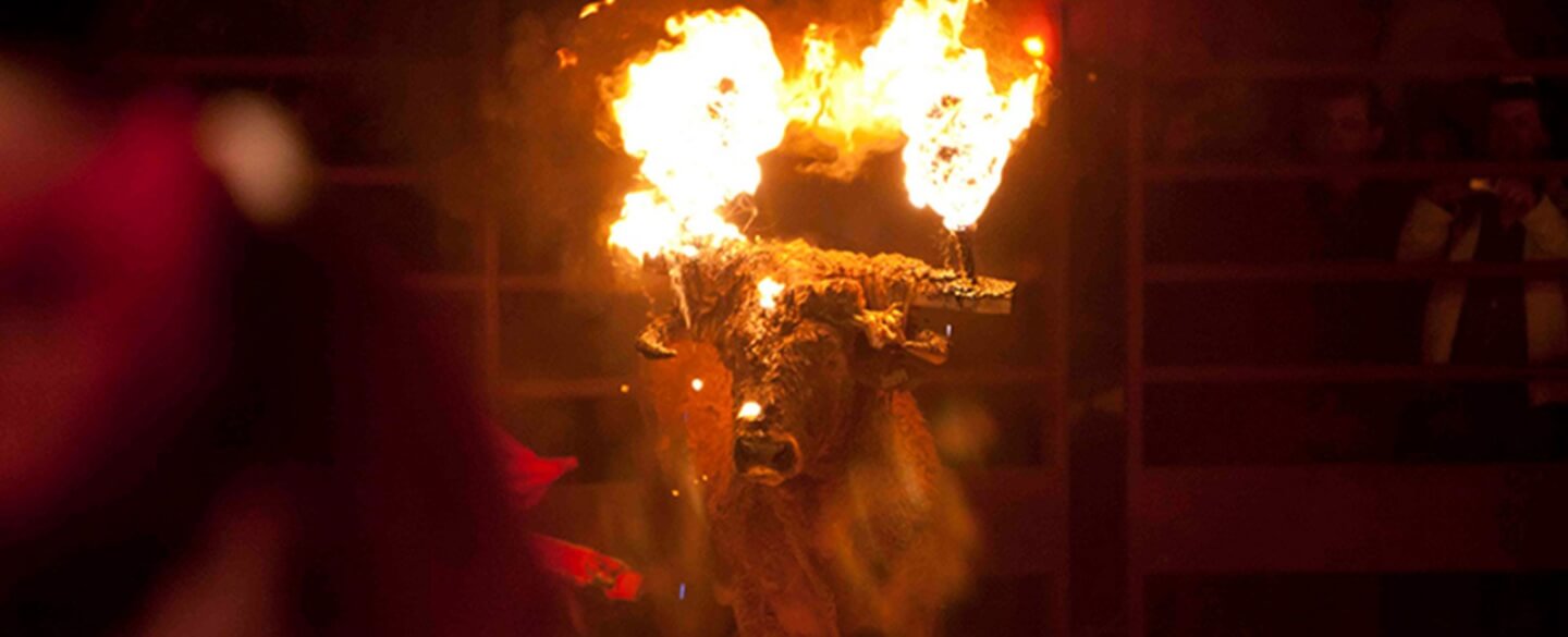So leiden brennende Stiere beim Toro-Júbilo-Festival in Spanien