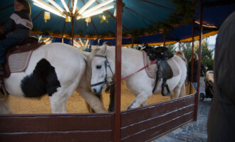 Ponykarussell: 9 Gründe für ein Verbot der Tierquälerei