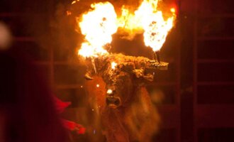 So leiden brennende Stiere beim Toro-Júbilo-Festival in Spanien