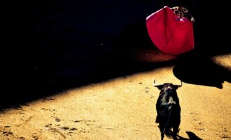 7 Gründe warum Stierkämpfe verboten werden sollten