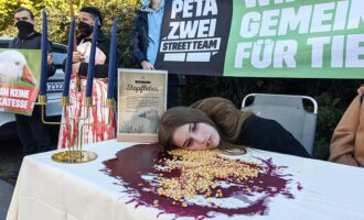 PETA ZWEI-Streetteams demonstrieren gegen Stopfleber