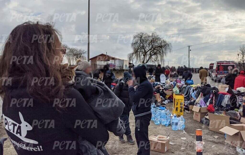PETA Mitarbeiterin mit Katze im Arm an der Grenze zur Ukraine